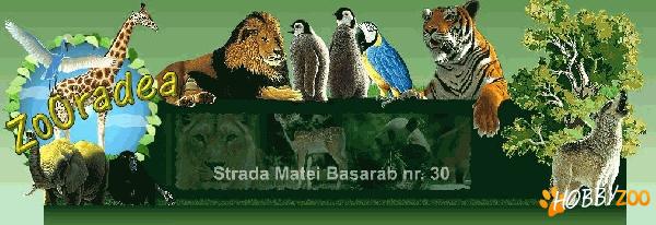 Zoo Oradea