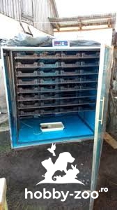 Incubatoare oua automate 